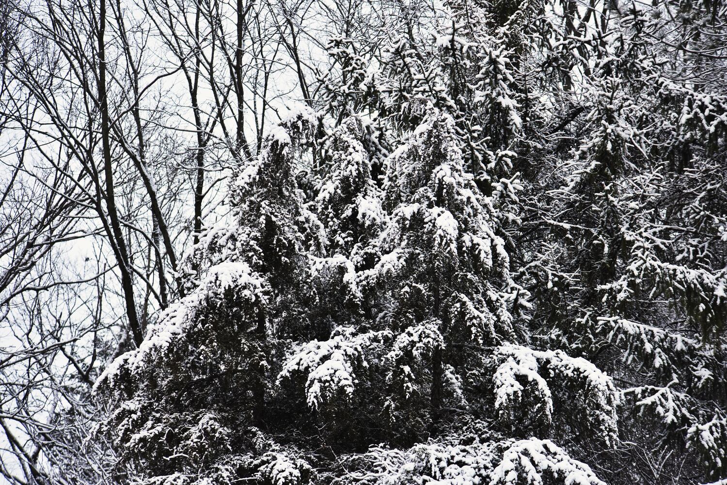120120 butler snow
