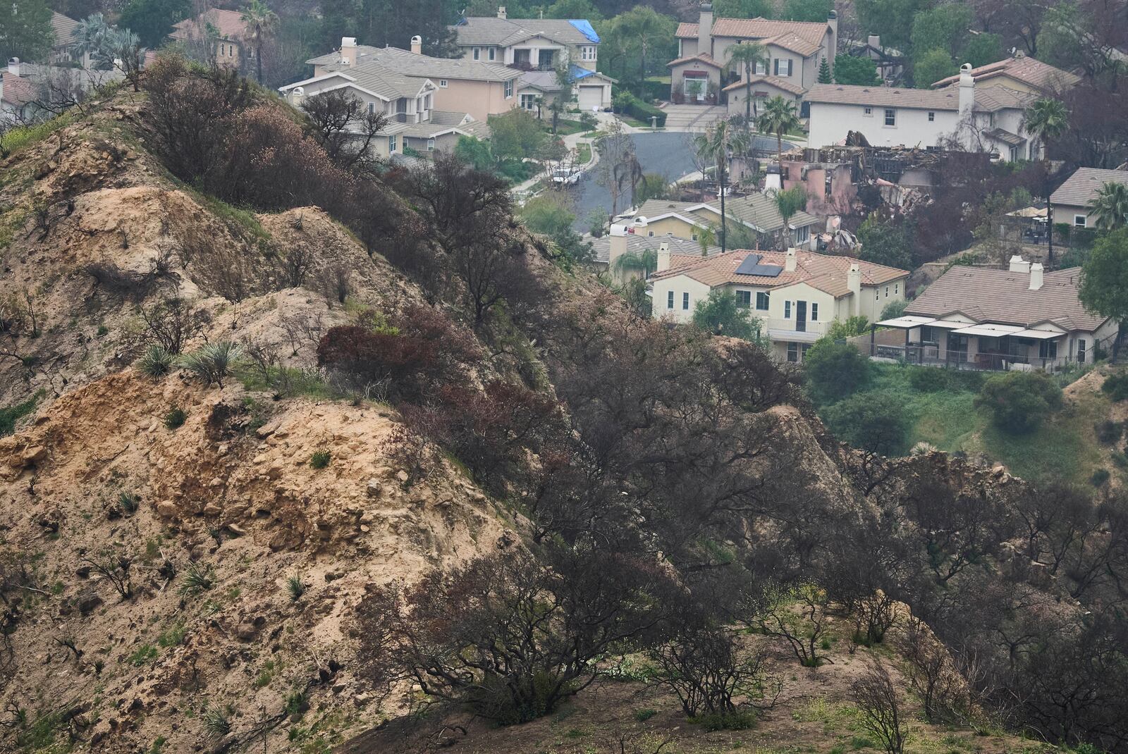 Burned homes are seen at La Viña gated community adjacent to the Chaney Trail Corridor, an area affected by the Eaton Fire, in Altadena, Calif., on Wednesday, April 23, 2025. (AP Photo/Damian Dovarganes)