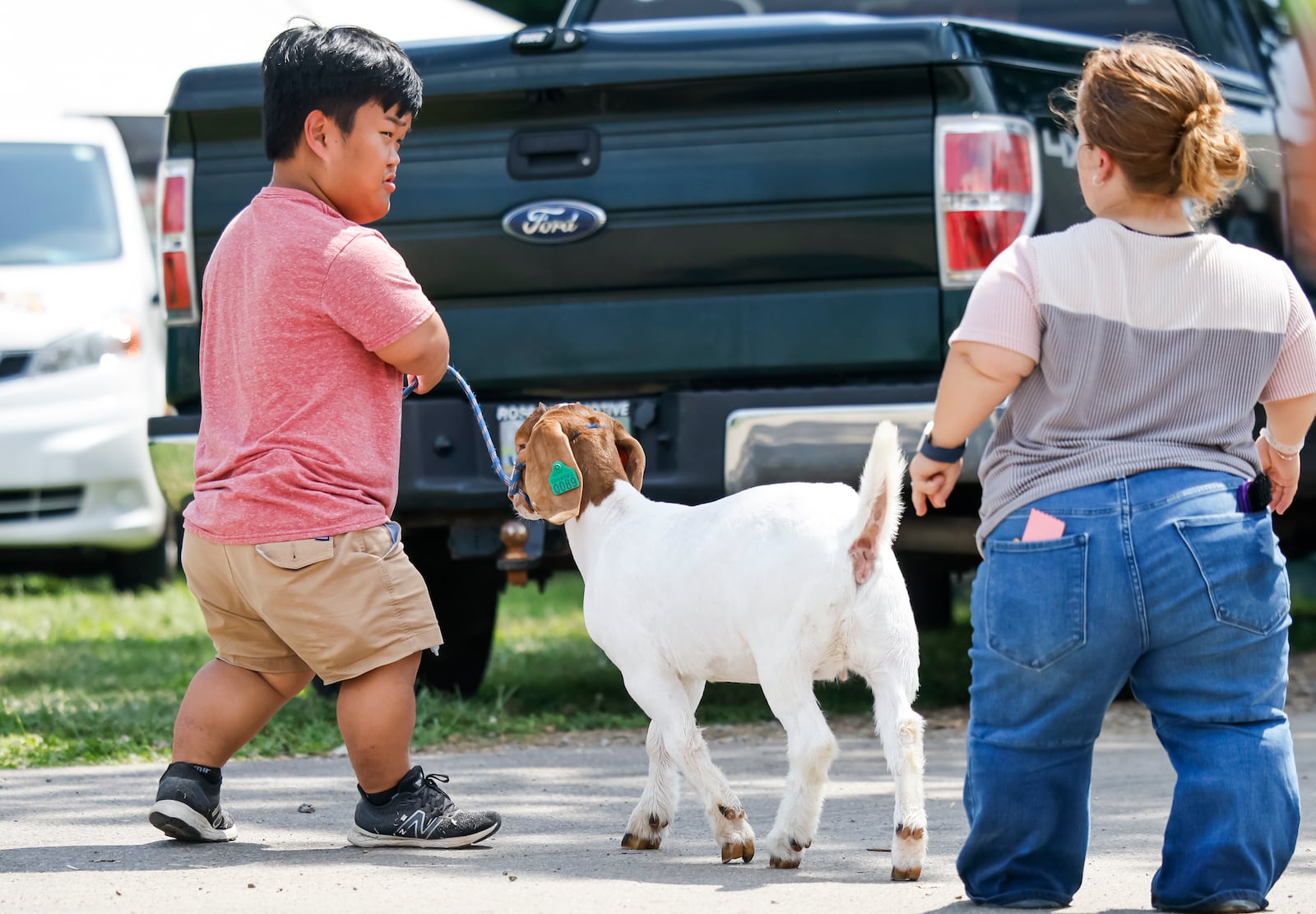 Allie Smith, right, teaches Alex Johnston, from the television show "7 Little Johnstons", how to show animals at the Butler County Fair Monday, July 21, 2025 in Hamilton. Johnston and some of his family had a film crew following them around the fair creating content for the show. NICK GRAHAM/STAFF