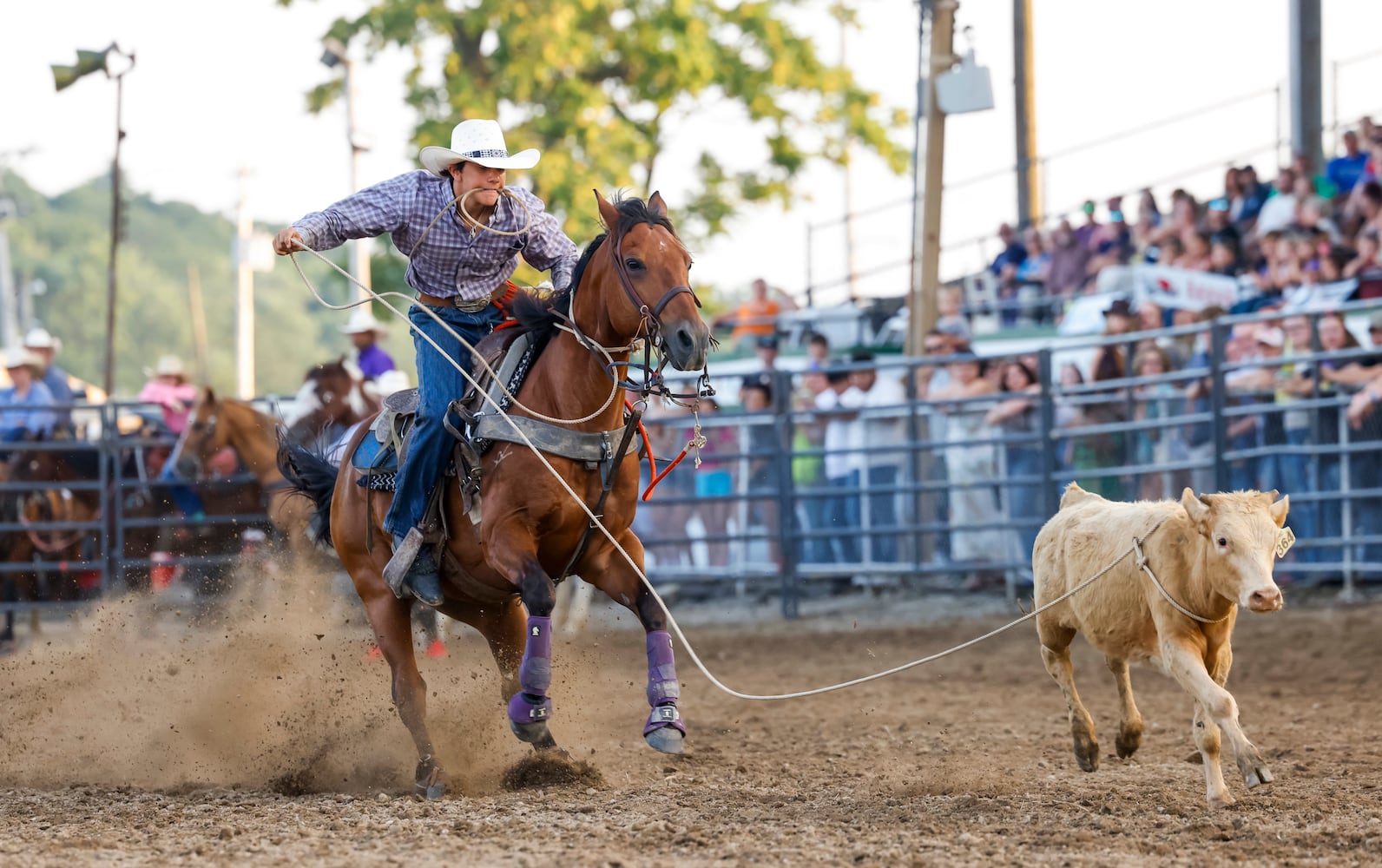 072225 BC Fair Tuesday