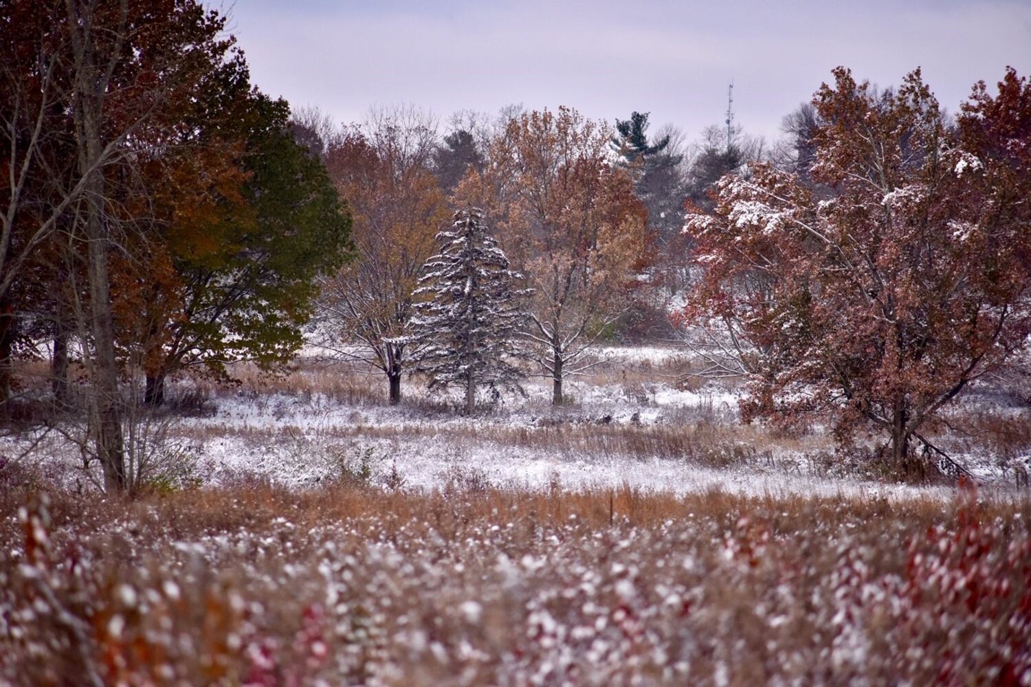 PHOTOS: Butler County's first snowfall of the season
