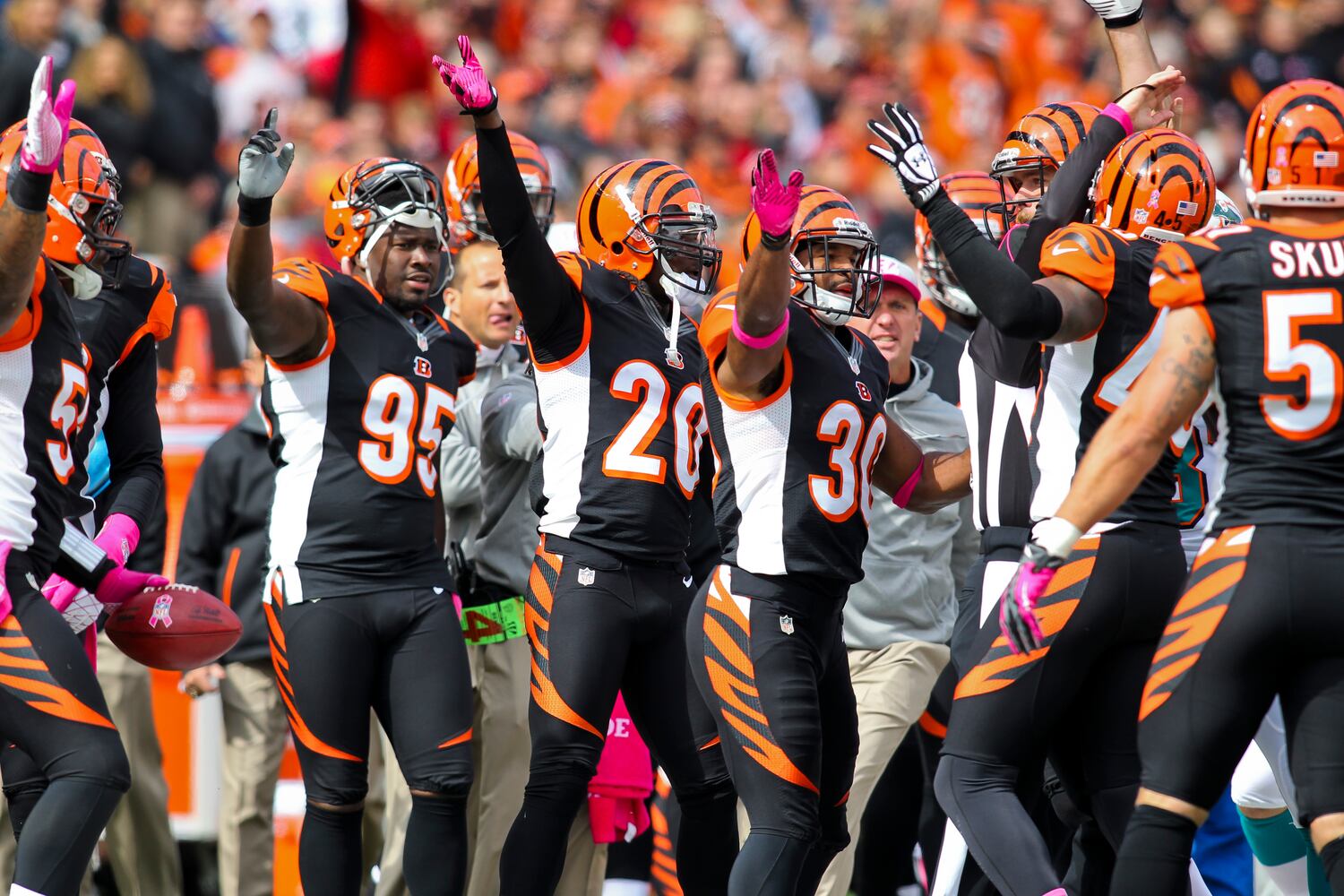 Bengals vs. Dolphins