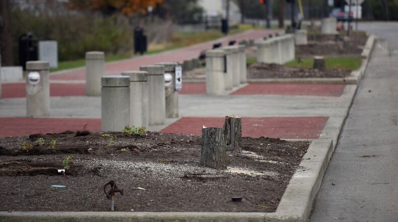 A crew from Luther Landscaping cut down the trees Nov. 22 along Carmody Blvd near AK Pavilion by the Great Miami River in Middletown. The same company is installing drain tiles between the pavilion and the river in an area that holds water during rainy periods. NICK GRAHAM/STAFF
