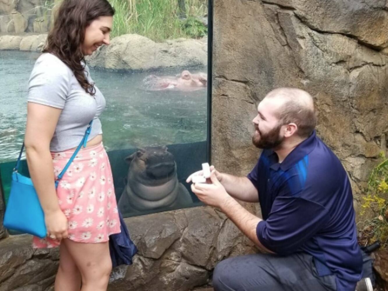 Fiona Proposal