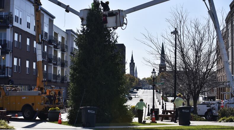 Hamilton city employees erect a Christmas tree at Marcum Park. The tree was donated by Gary and Donna Trudel of Hamilton. NICK GRAHAM/STAFF