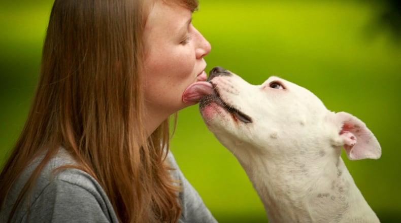 The city of Fairfield is considering revisions to its animal ordinance that will remove breed-specific legislation from its code. Breed-specific legislation has been ruled against in courtrooms since the Ohio legislature removed breed-specific laws from the Ohio Revised Code. FILE