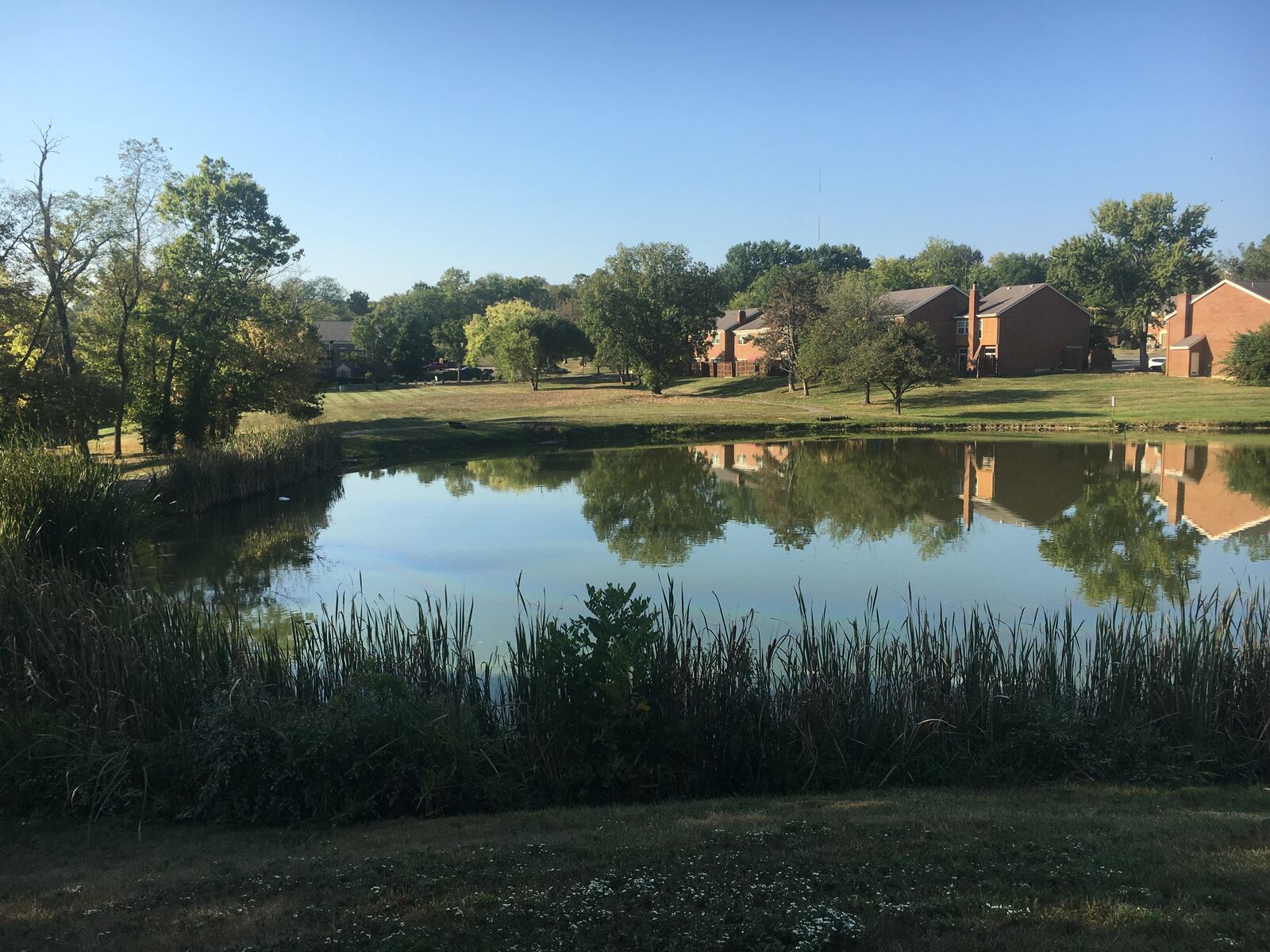 A man crashed a red pickup truck into this pond Monday evening, Sept. 30, 2019, at the Villages of Wildwood off Ross Road in Fairfield. His two young children were passengers. The man, Morance Harrison, 35, and his daughter, Nena Harrison, 6, both of Cincinnati, died. His son survived. MICHAEL D. PITMAN/STAFF