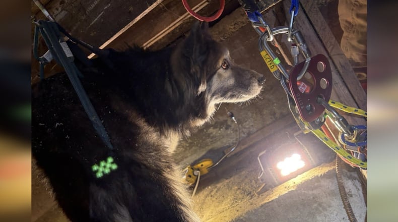 Blue is hoisted from a well Feb. 1 by rescue crews. BUTLER COUNTY EMA