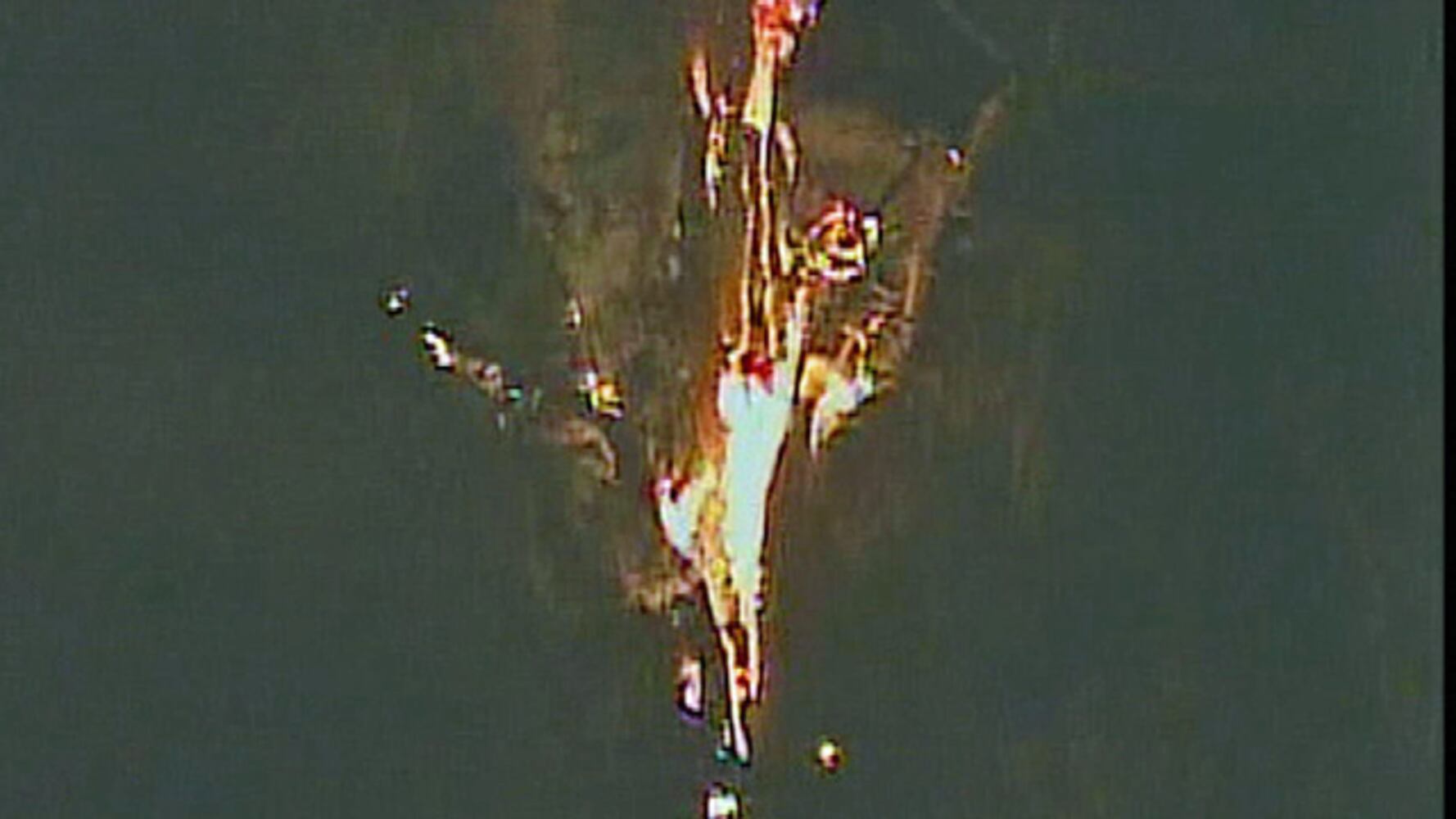 Senator tree on fire