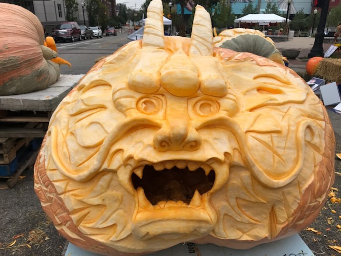 PHOTOS Operation Pumpkin through the years.