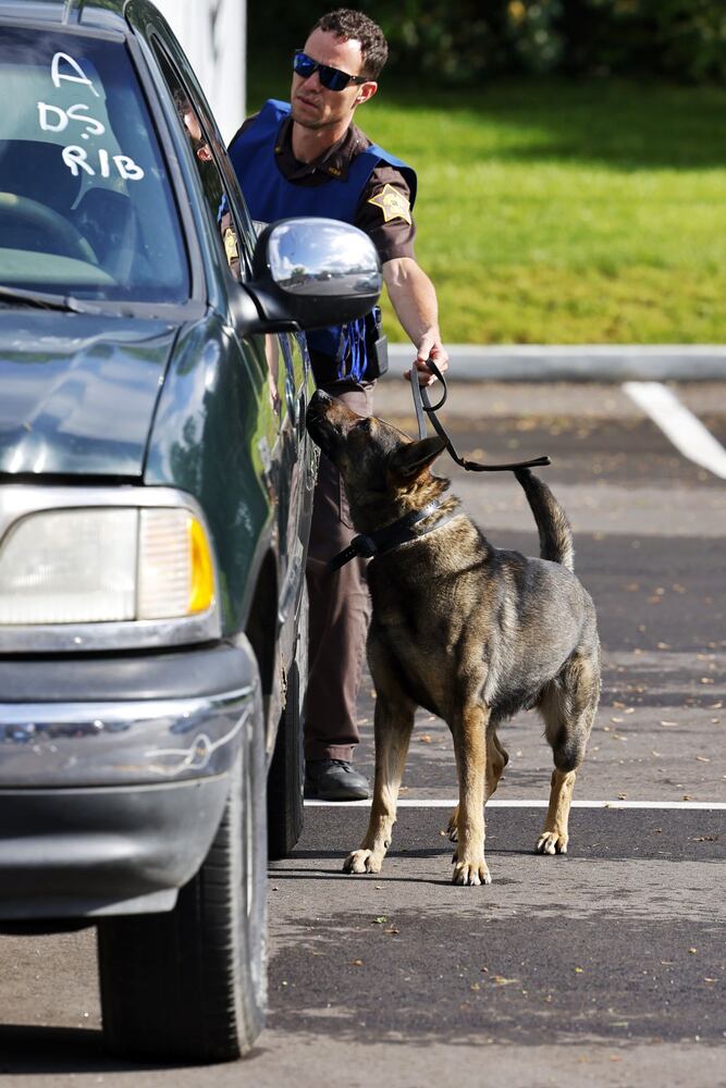 051622 police dogs