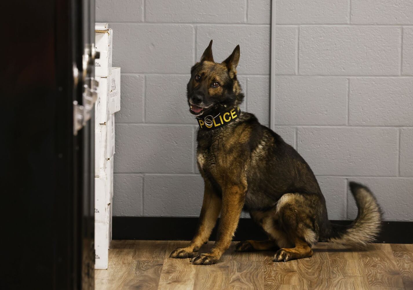 051622 police dogs