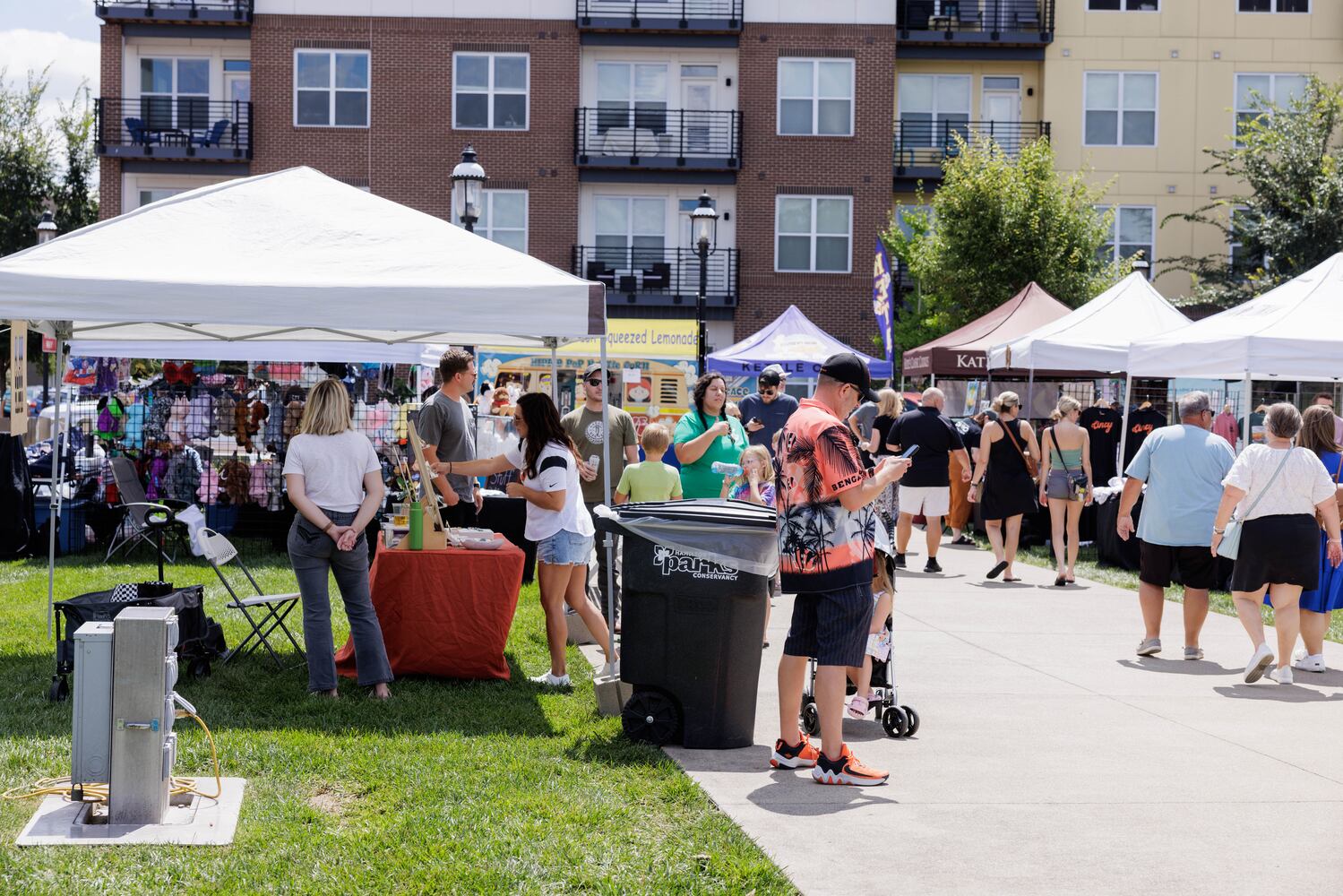 Hamilton Flea August 2024