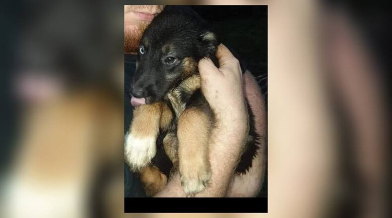 A dog went missing after escaping a Middletown house fire in the 2200 block of Winton Street on Thursday, Feb. 20, 2020. CONTRIBUTED