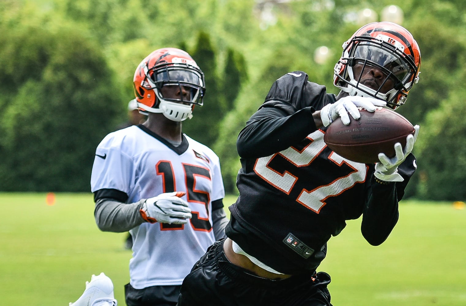Cincinnati Bengals OTA