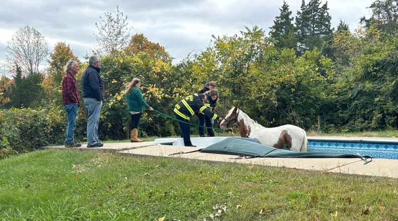 A blind horse was rescued from an inground pool in Madison Twp. on Michael Road after it wandered out of its fenced area. CONTRIBUTED/MADISON TWP. FIRE DEPARTMENT