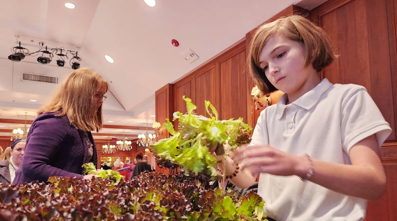 Walter Allman, a fifth-grader at St. Joseph Consolidated School, picks lettuce to eat after Tisha Livingston, co-founder of 80 Acres Farms and CEO of Infinite Acres, the technology company that supports 80 Acres Farms, spoke to a sellout crowd at the Celebrating Self series luncheon at Fitton Center for Creative Arts Wednesday, Jan. 11, 2023 in Hamilton. Livingston talked about the history of 80 Acres Farms and their indoor vertical farming process. Fifth-grade students from St. Joseph Consolidated School who are learning about ancient farming techniques were in attendance to learn and ask questions about farming. NICK GRAHAM/STAFF