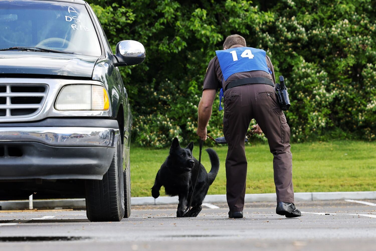 051622 police dogs