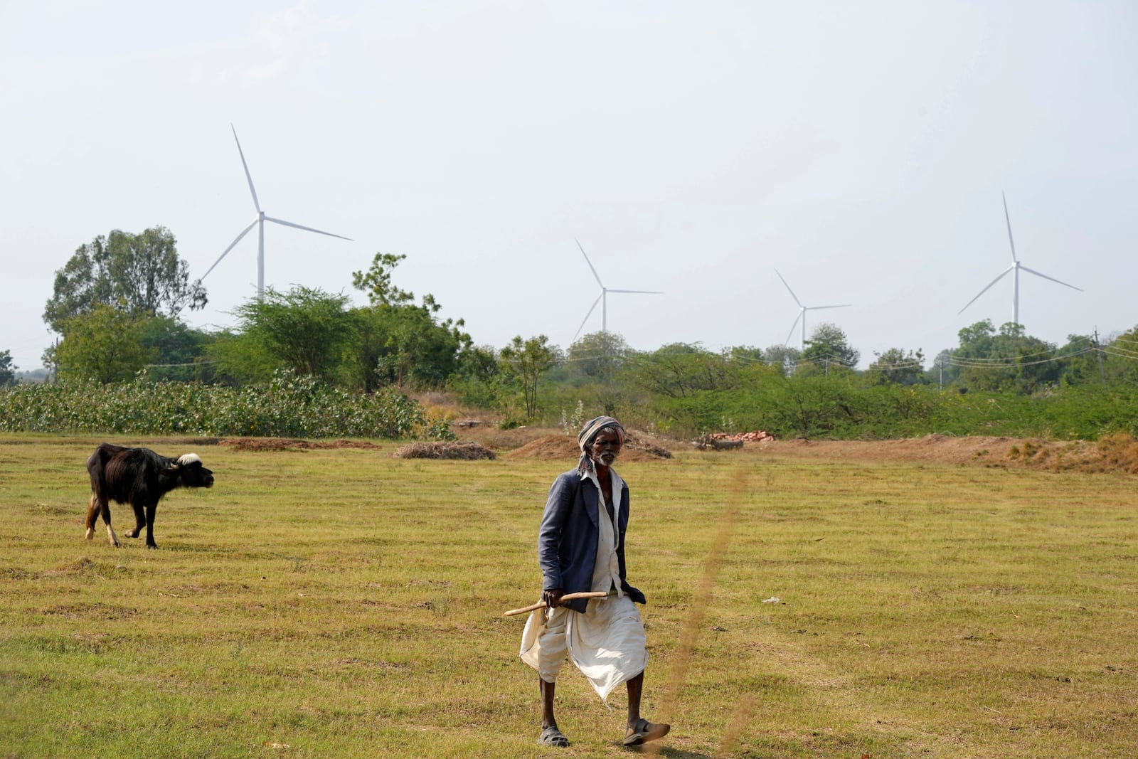 FILE - A man walks near wind turbines, an Adani Group project, near Sadla village in Surendranagar district of Gujarat state, India, March 20, 2023. (AP Photo/Ajit Solanki, File)