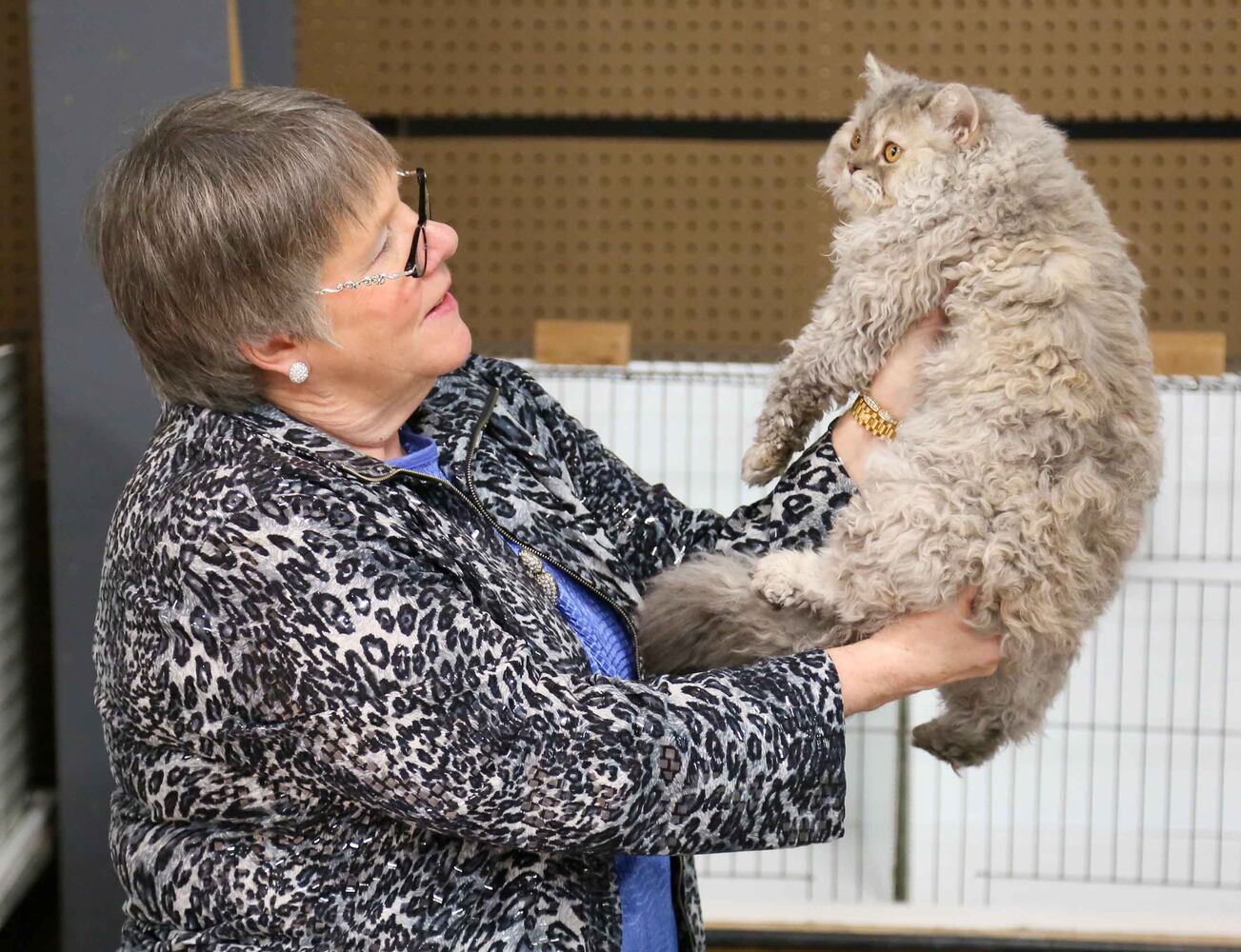 Cat Show at Butler County Fairgrounds