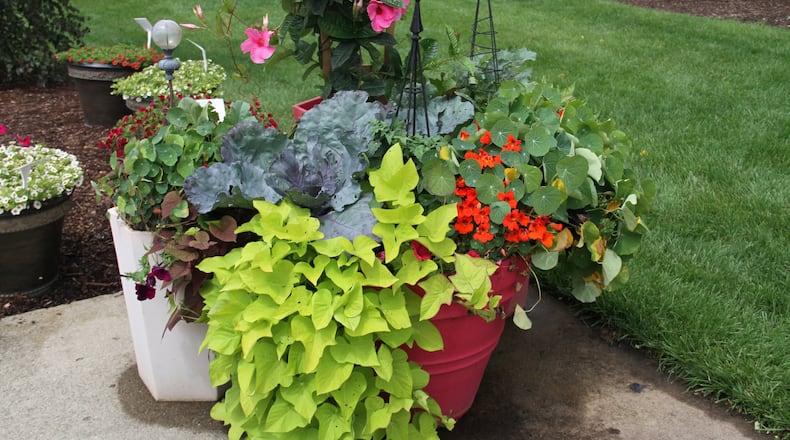 Vegetables can be grown in containers. CONTRIBUTED