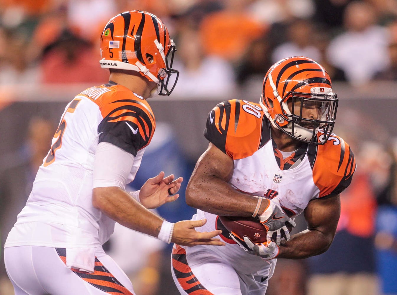 Bengals vs Vikings Pre-season Game
