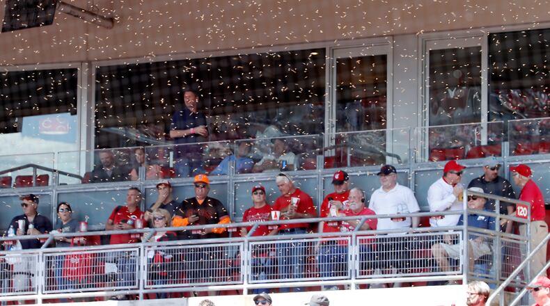 CINCINNATI, OH - MAY 06: A swarm of bees delays the start of the game between the Cincinnati Reds and San Francisco Giantsat Great American Ball Park on May 6, 2019 in Cincinnati, Ohio. (Photo by Joe Robbins/Getty Images) *** BESTPIX ***