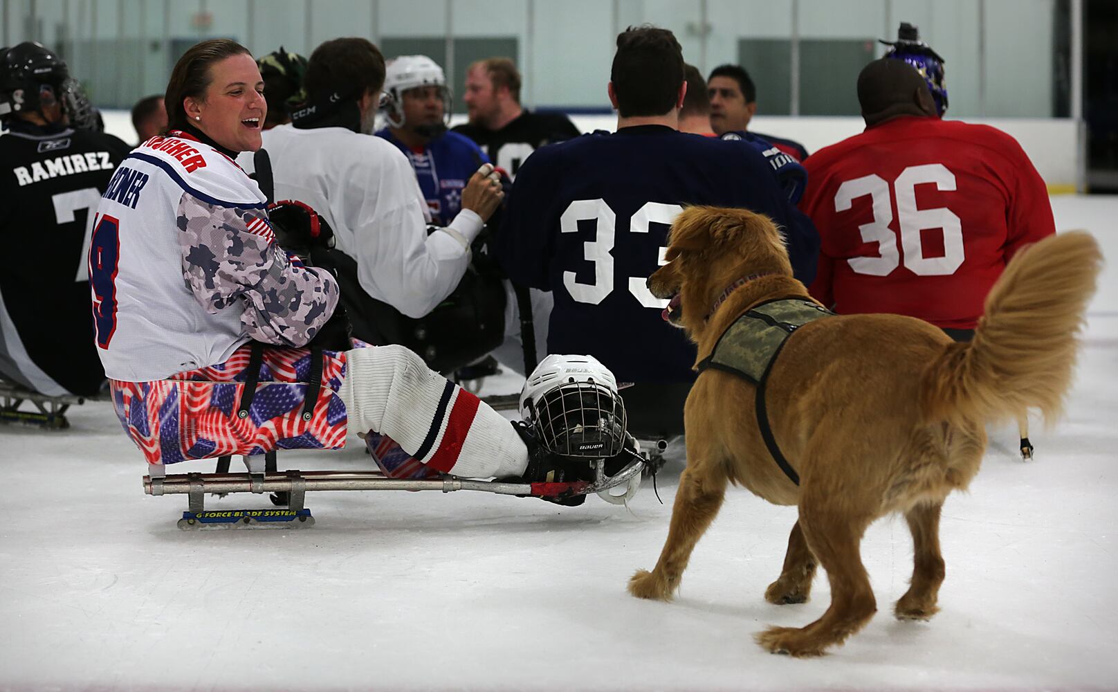 News hounds (9/3/15)