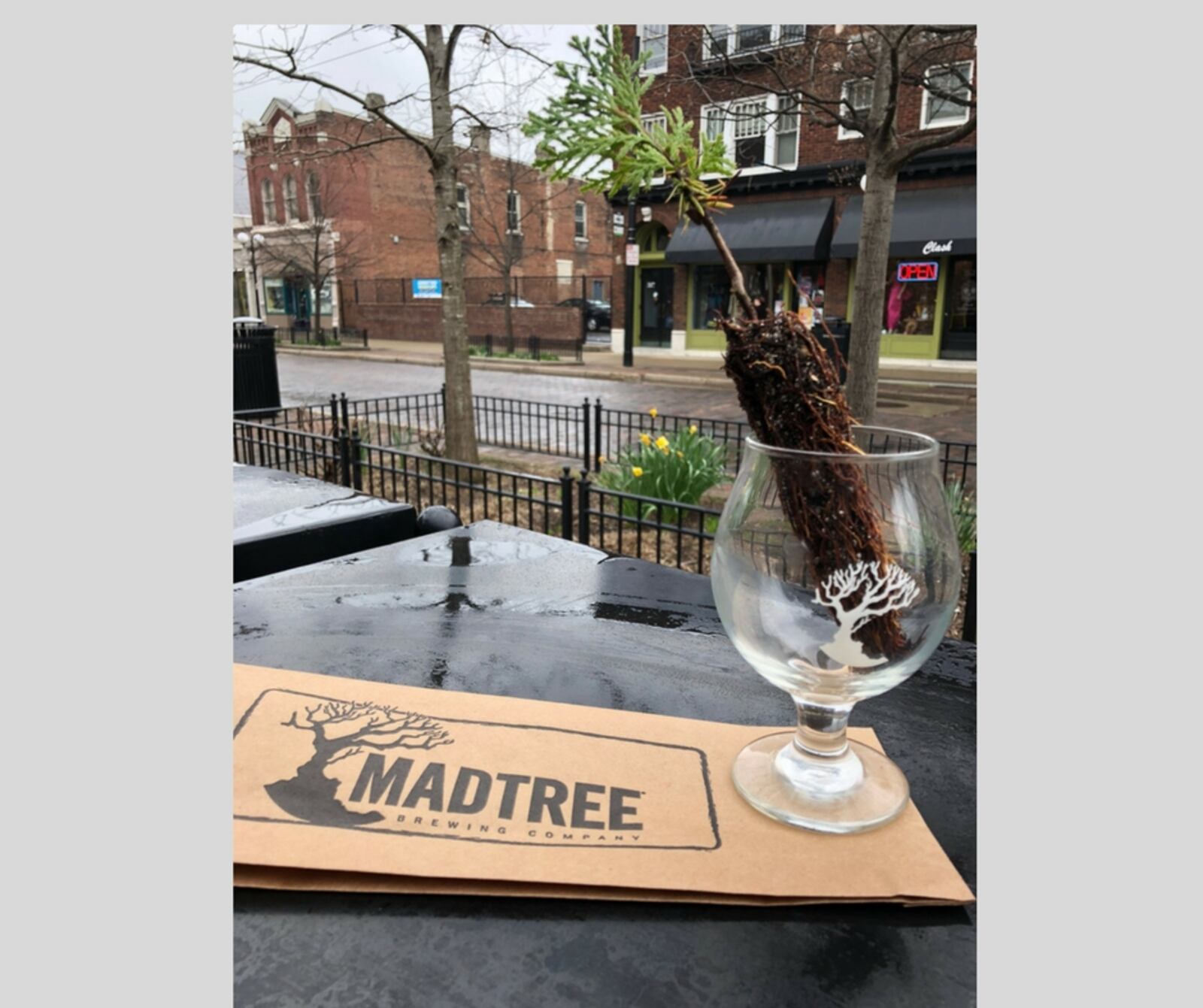 MadTree Brewing and Lucky's Taproom & Eatery are teaming up for an Arbor Day tree giveaway.