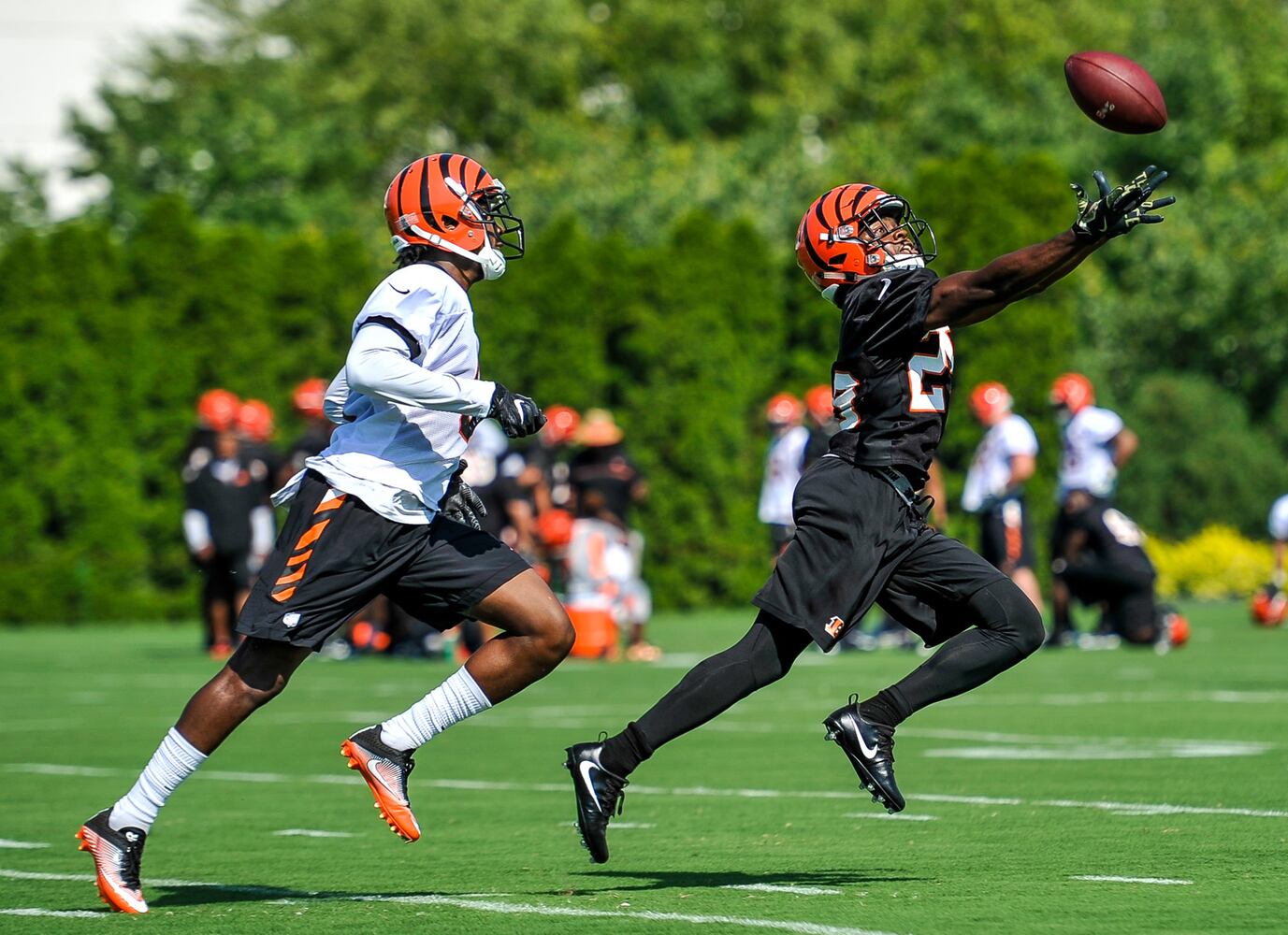 Bengals Training Camp Day 1