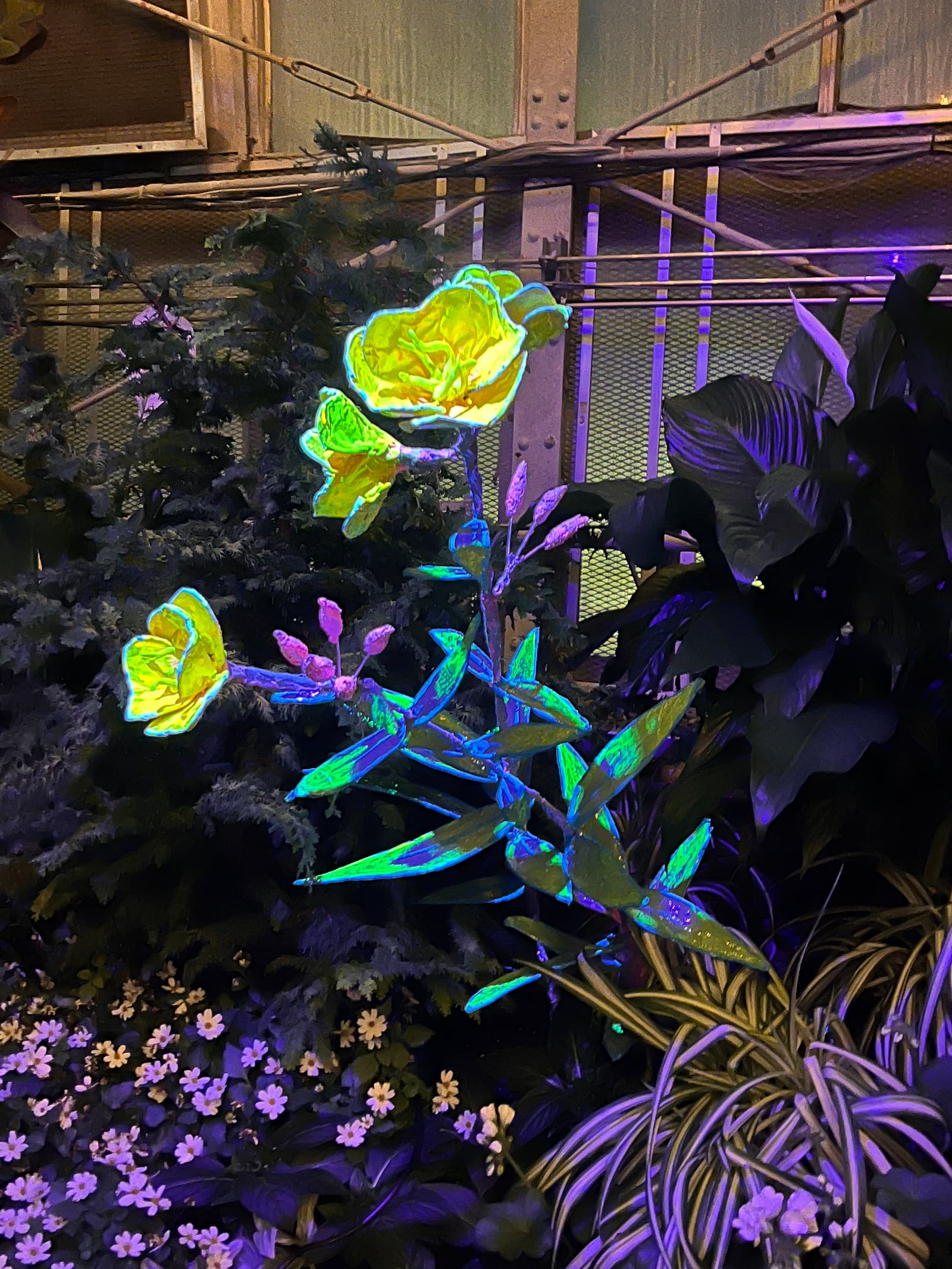 The Krohn Conservatory's Moonlight Menagerie event will run Jan. 17-April 19, 2026. Photo by Allison Wallis. Contributed