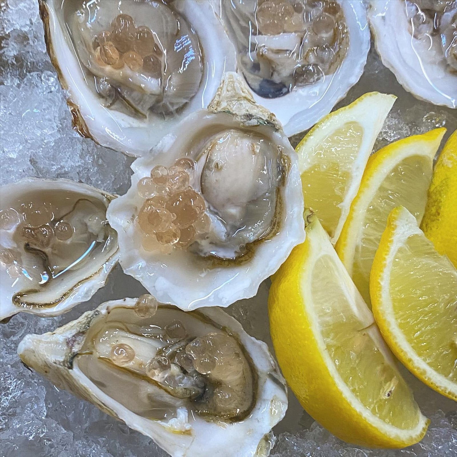 Oysters at the Silver Slipper, which has an ever-changing menu and of course, wine. FILE