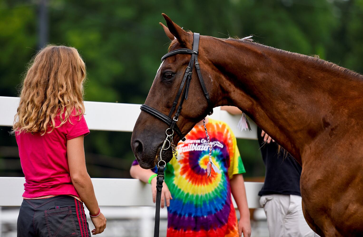 Warren County Fair 2015 Day 1