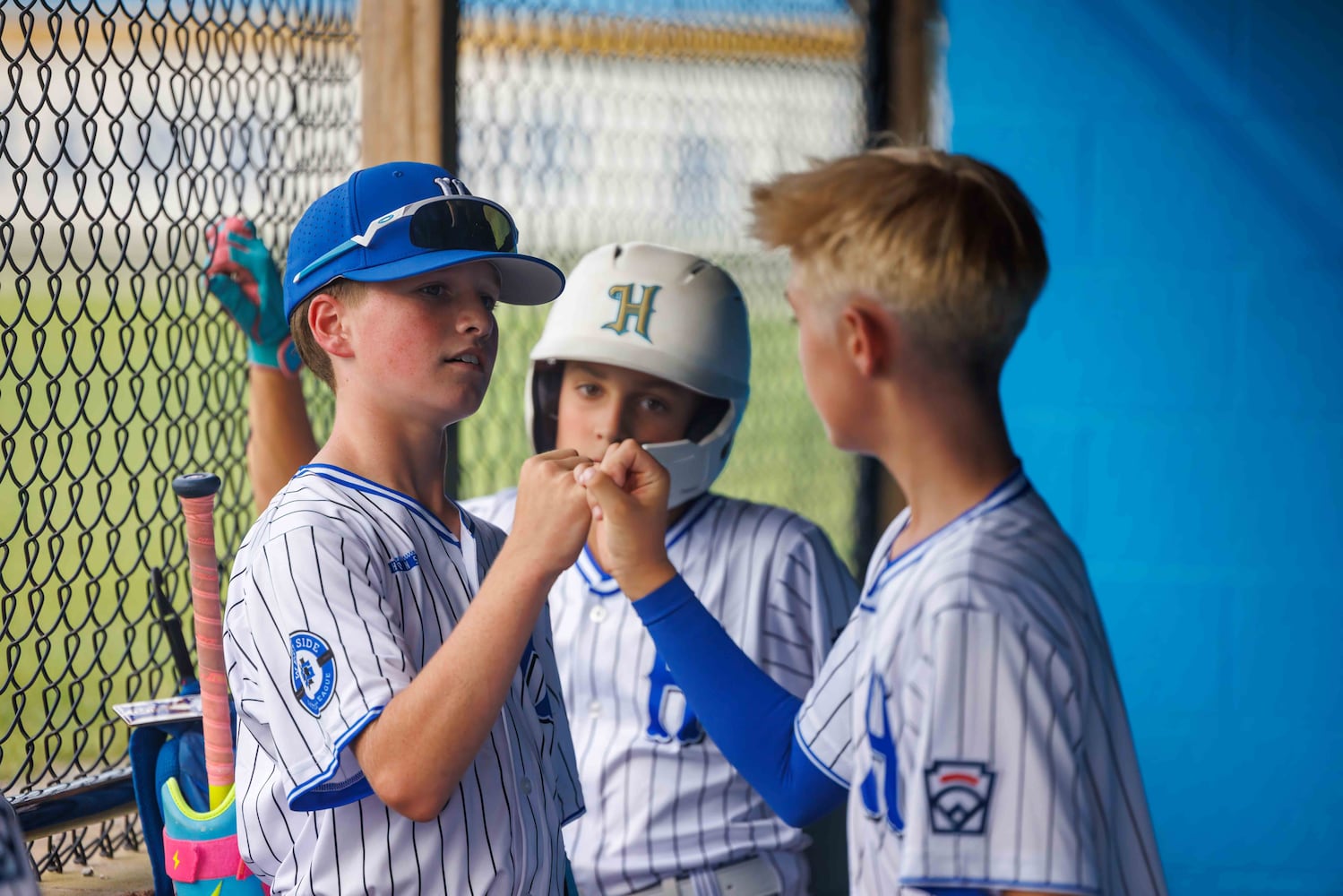 hamilton west side little league 2025