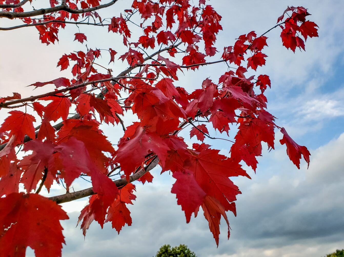 Fall colors October 2020