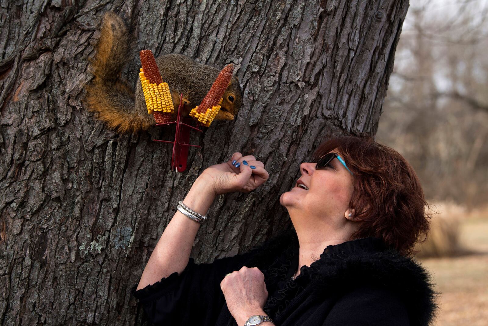 Cindy Dye of Oakland City, Ind., greets Baby, a red squirrel she raised from infancy, Wednesday morning. Her son, Blaine Dye, found the critter fallen from its nest behind mom's hair salon in July and now it calls the Dye's backyard its home.
