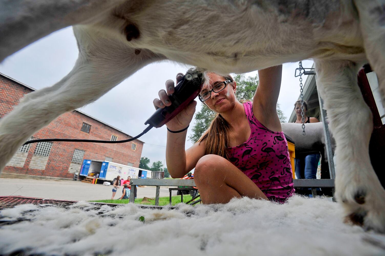 Warren County Fair 2015 Day 1
