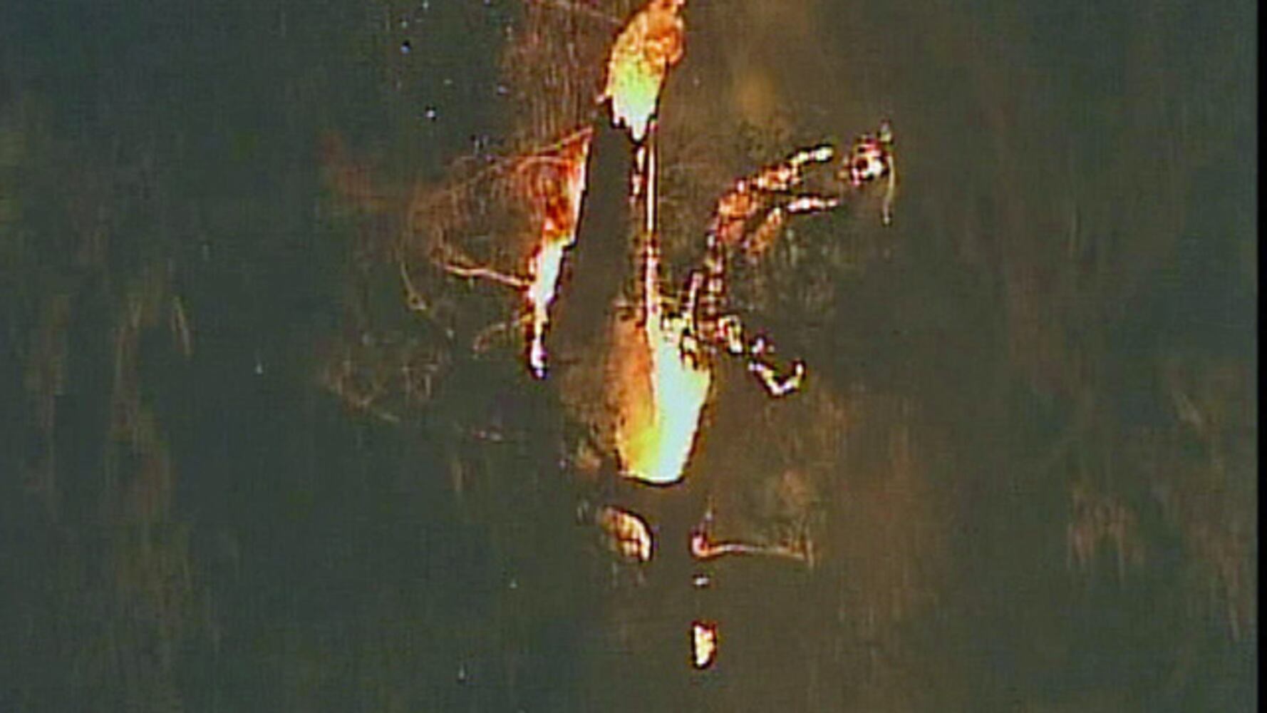 Senator tree on fire