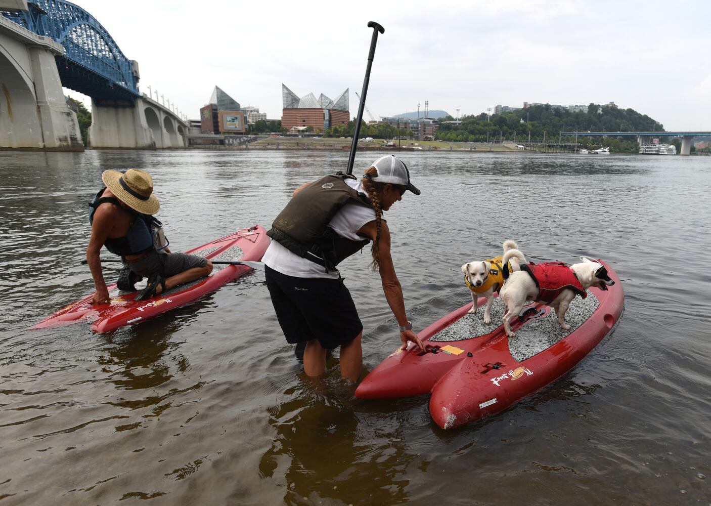 News hounds (8/13/15)