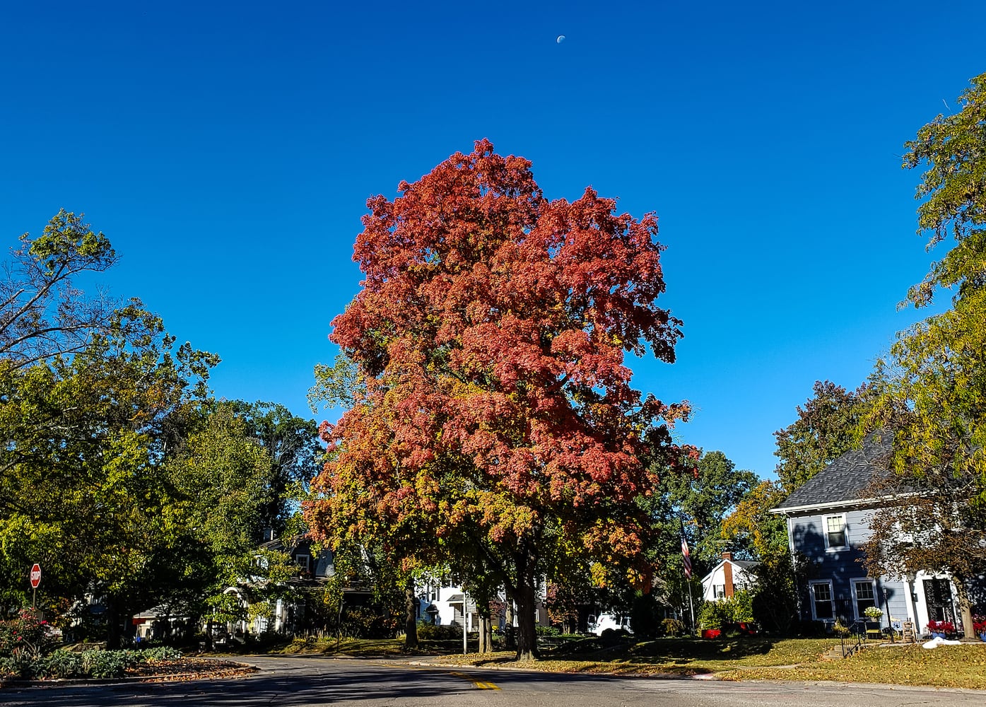 Fall colors October 2020