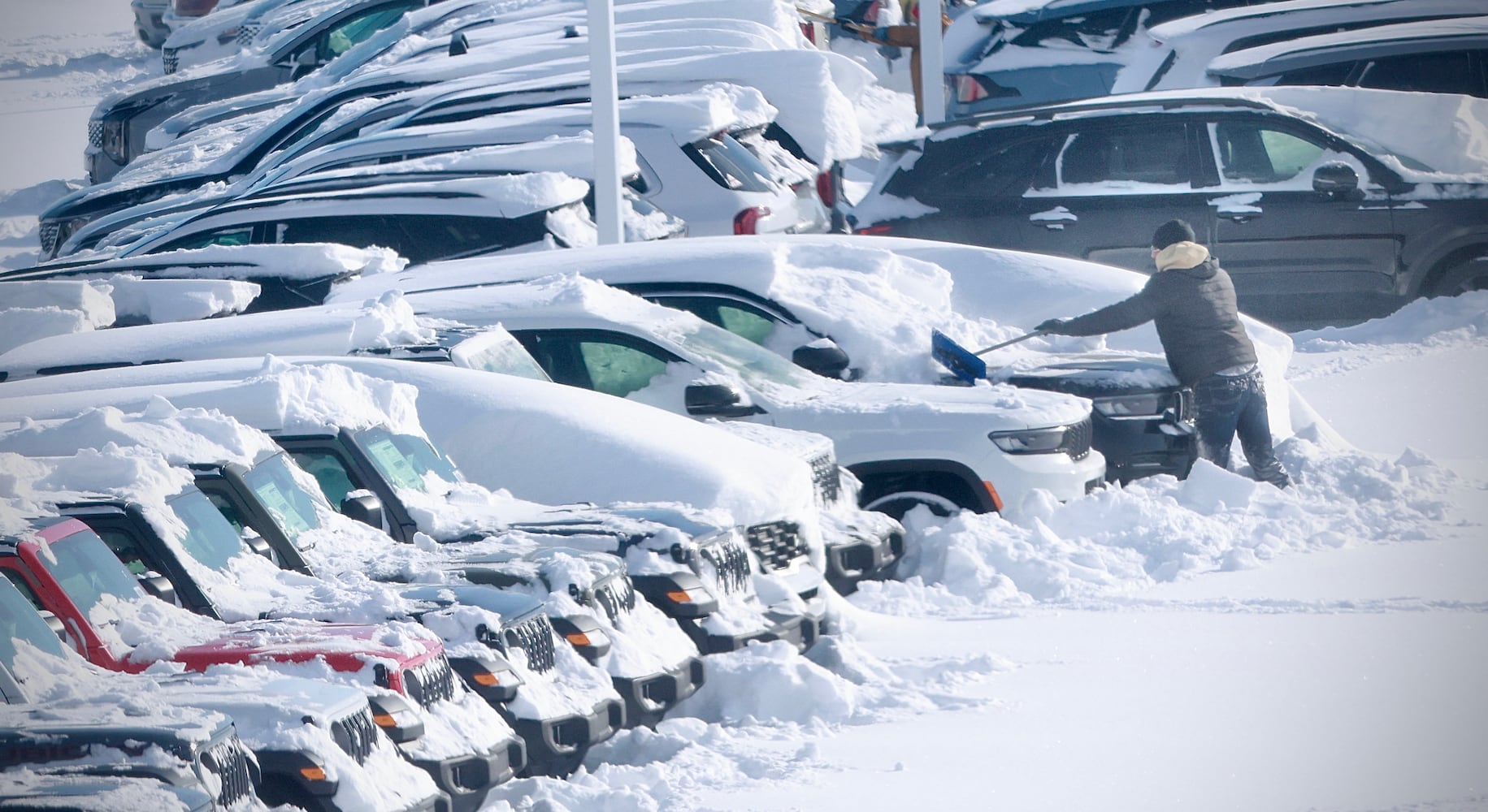 Snow in Springfield after Jan. 24-25, 2026 storm