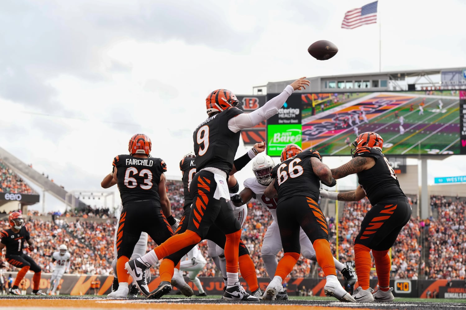 Cardinals Bengals Football