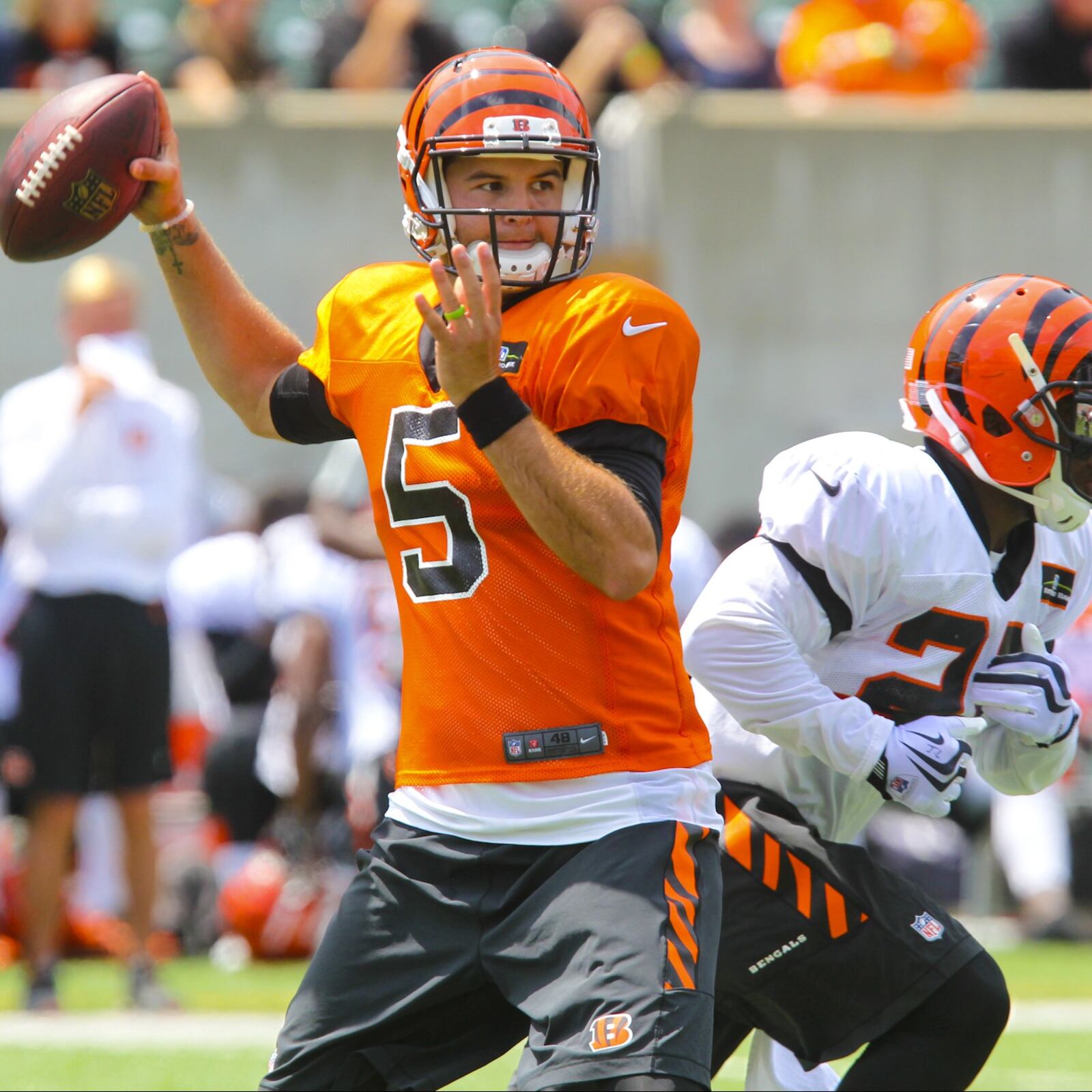 Cincinnati Bengals quarterback AJ McCarron (5) drops back for a pass during their mock game at Paul Brown Stadium, Saturday, Aug. 8, 2015. GREG LYNCH / STAFF
