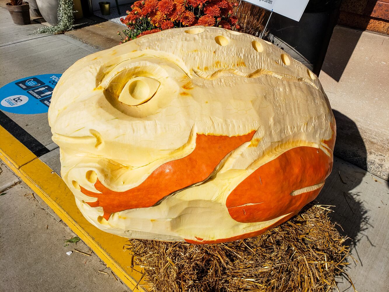 100820 Operation Pumpkin