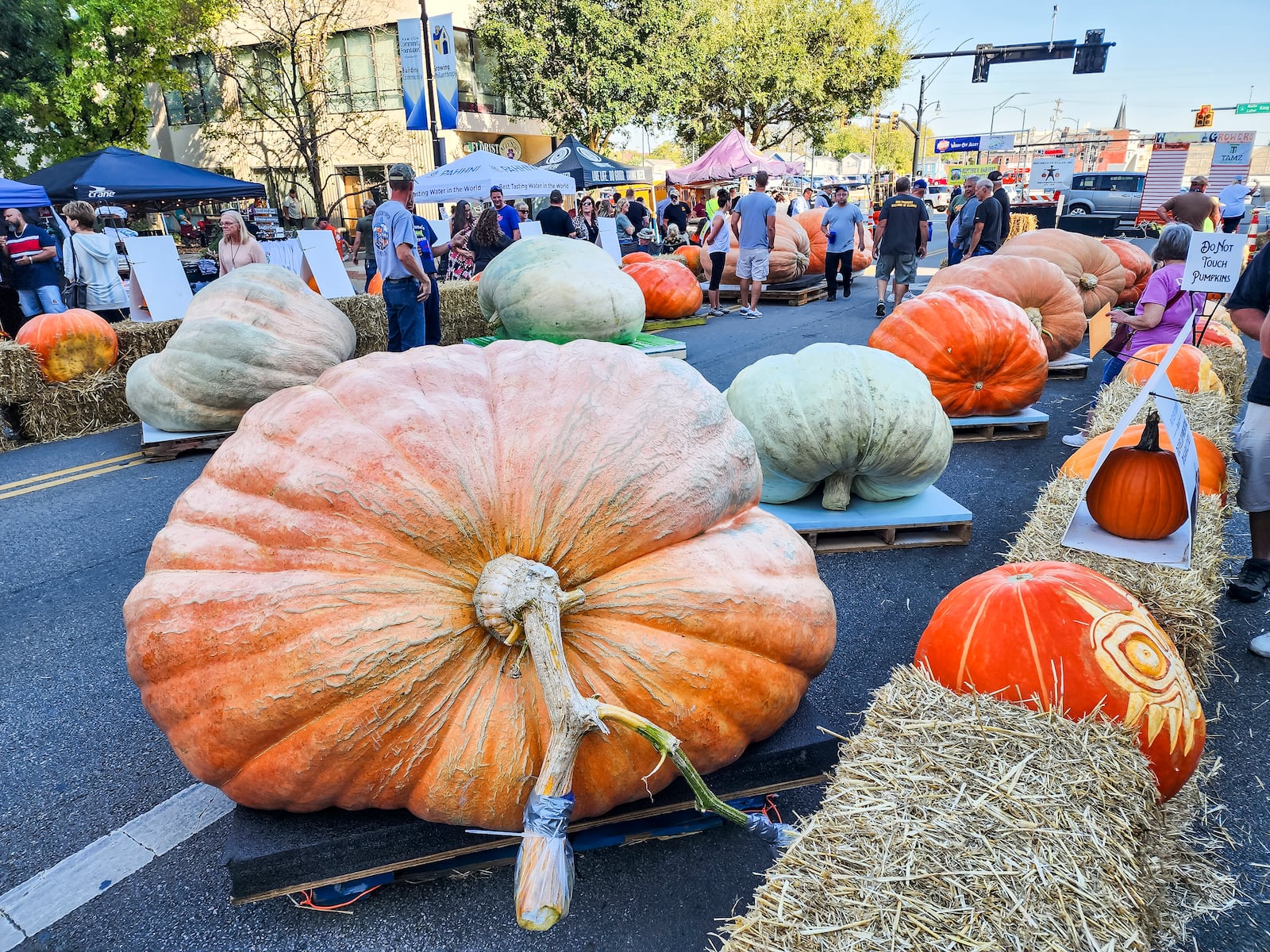 Visitors check out vendor booths, food and beer trucks, and pumpkins of all shapes and sizes on High Street during Operation Pumpkin Friday, Oct. 13, 2023 in downtown Hamilton. NICK GRAHAM/STAFF