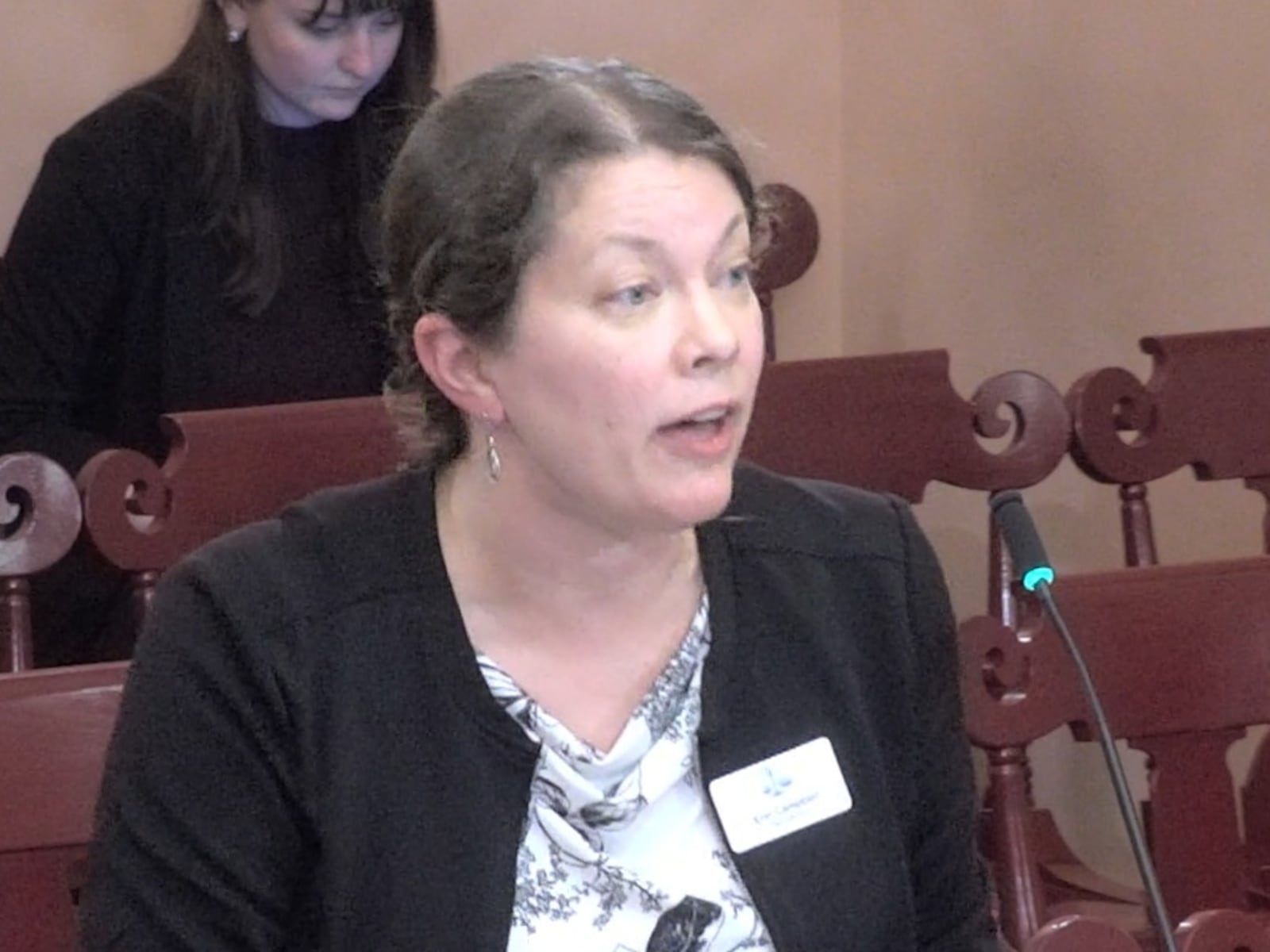 Erin Campbell, an attorney at Pro Seniors Inc., a Cincinnati nonprofit that provides free legal advice to people 60 years old and older. Campbell is pictured providing proponent testimony in favor of Ohio House Bill 318, which seeks to reform Ohio's Medicaid estate recovery program. CONTRIBUTED