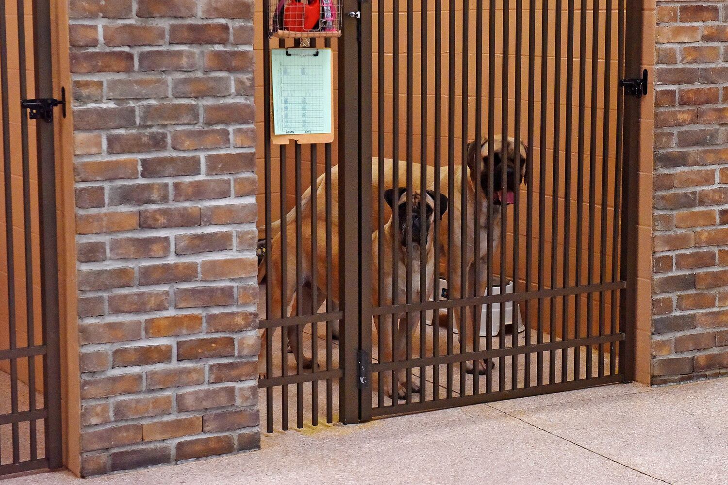 West Chester Pet Resort