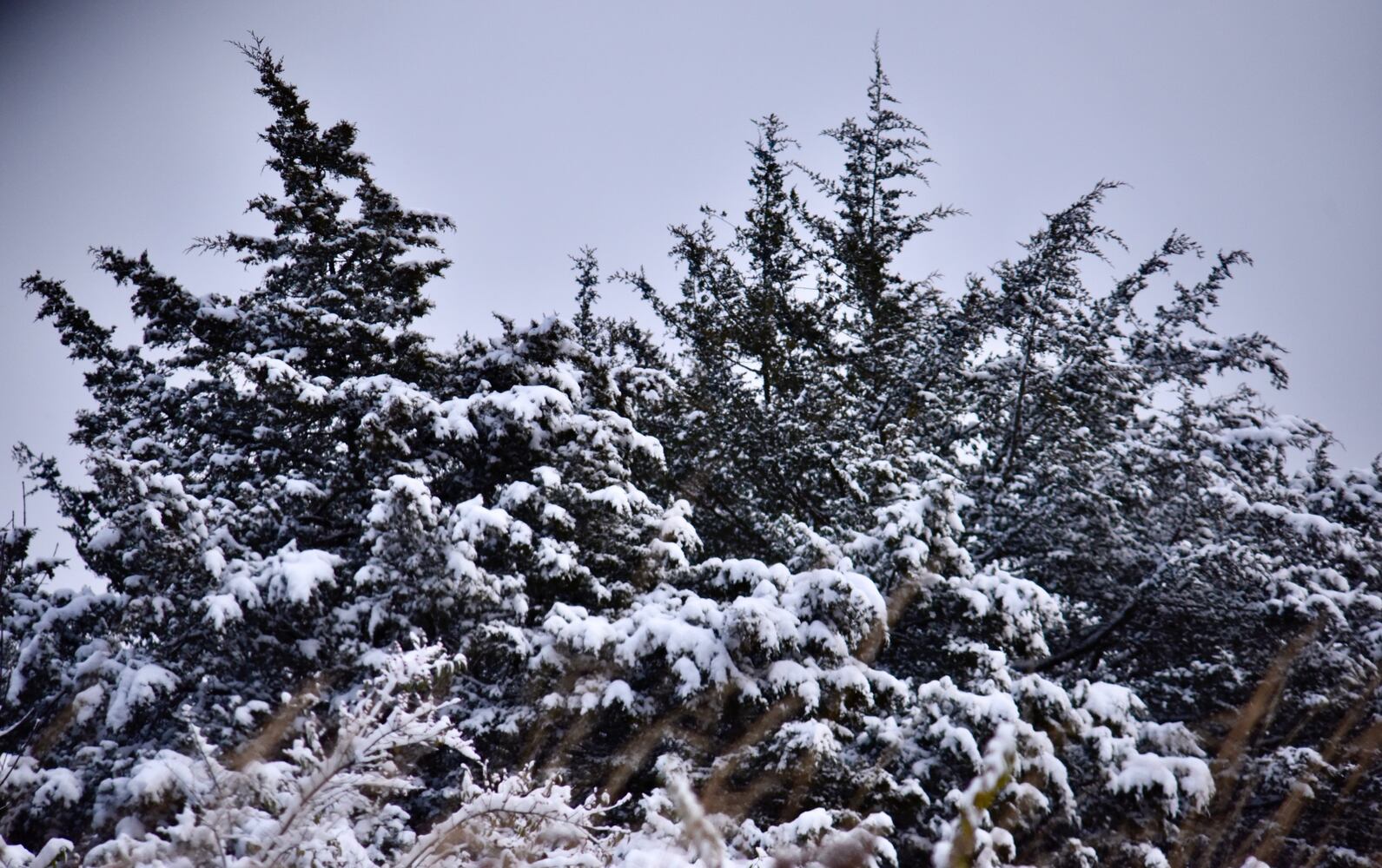 PHOTOS Butler County's first snowfall of the season