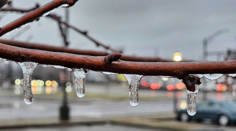 Ice on a Middletown tree Feb. 6, 2025. NICK GRAHAM, STAFF