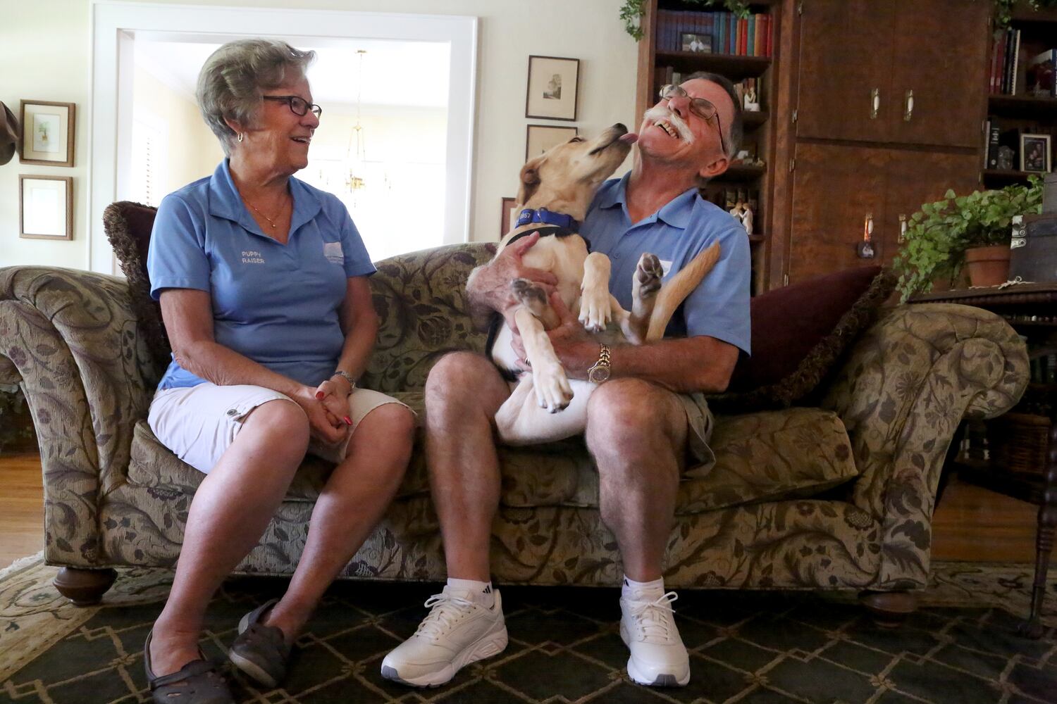 News hounds (8/13/15)